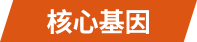核心基因 